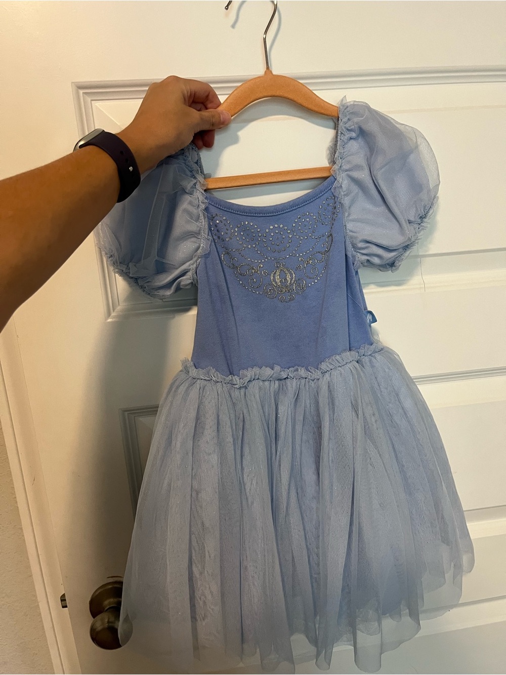 Disney Light Blue Tulle Princess Dress with Puff Sleeves